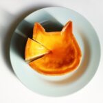 No photo normal square img