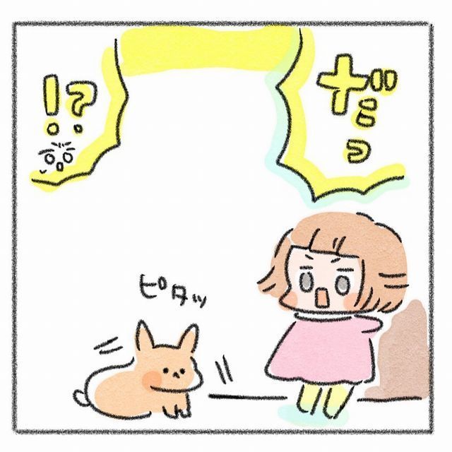 うさぎ　こども　だるまさんがころんだ