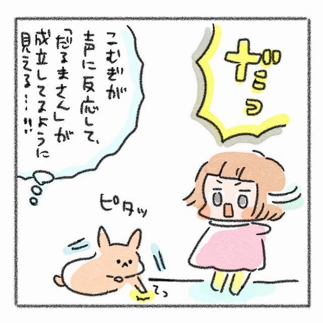 うさぎ　こども　だるまさんがころんだ