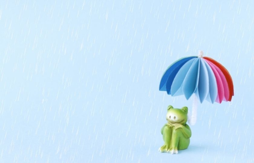 雨　カエル　傘