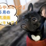 No photo normal square img