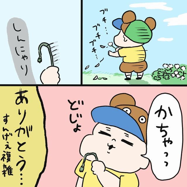 男の子 花をむしる ママ どうぞ