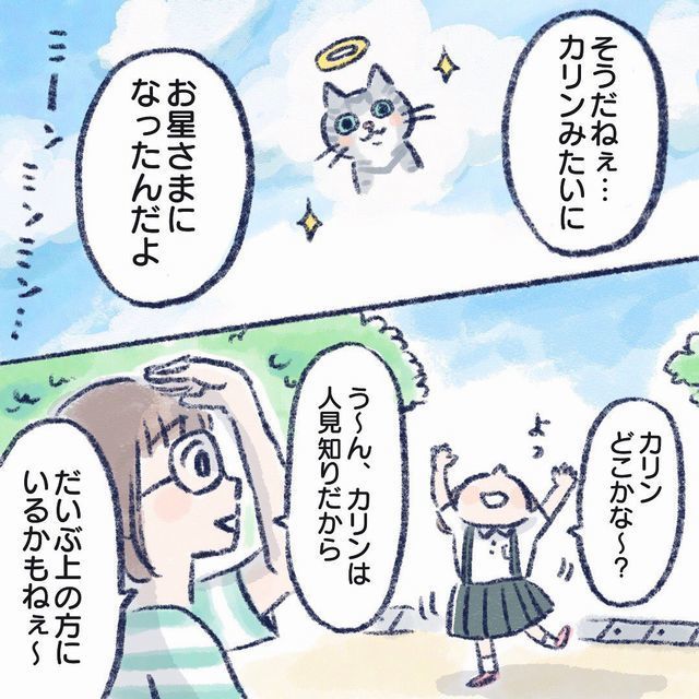 ネコのカリンみたいにお星さまになった