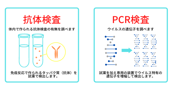 抗体検査　PCR検査　タンパク質　遺伝子