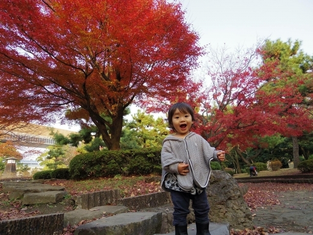 紅葉　子ども