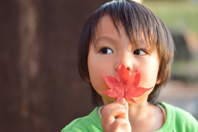 夏から秋の季節の変わり目、服装どうしてる？半袖から長袖に変えるタイミングは？失敗しない服装選び【子どもの衣替え】