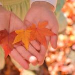 No photo normal square img