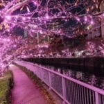 No photo normal square img