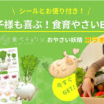 No photo normal square img