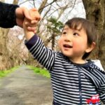 No photo normal square img