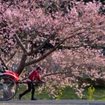 No photo normal square img