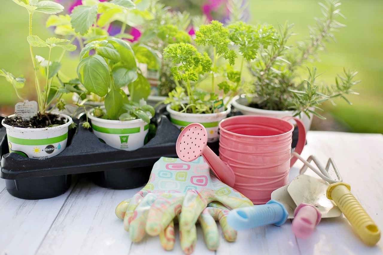 ３ 4月に植えられる植物は この春は子どもといっしょにガーデニングを楽しもう 初心者におすすめの花 野菜5選 Up To You