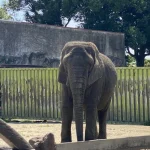 No photo normal square img