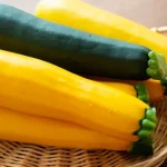 No photo normal square img