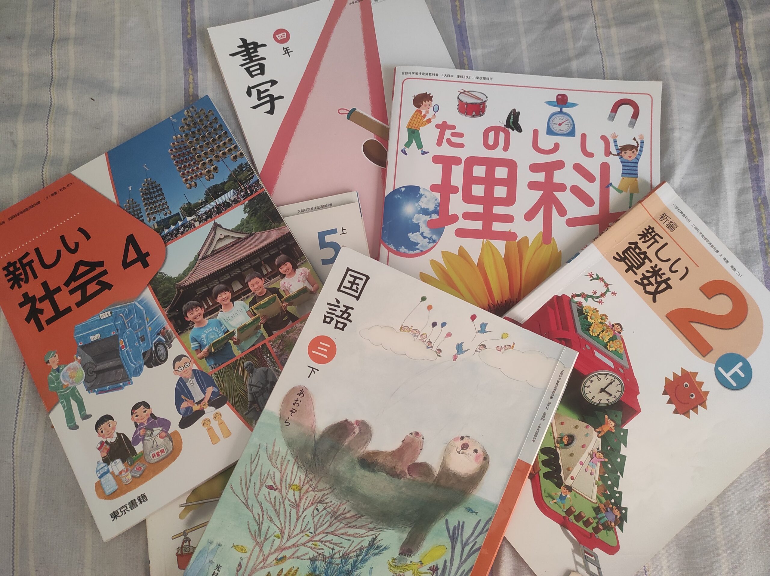 今更だけど…海外バイリンガル子育てで痛感した日本の教科書の