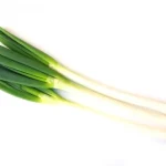 No photo normal square img