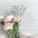 No photo normal square img