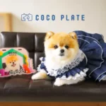 愛犬の写真が世界にひとつのネームプレートに。ドッグカート用「ココプレート」が新登場