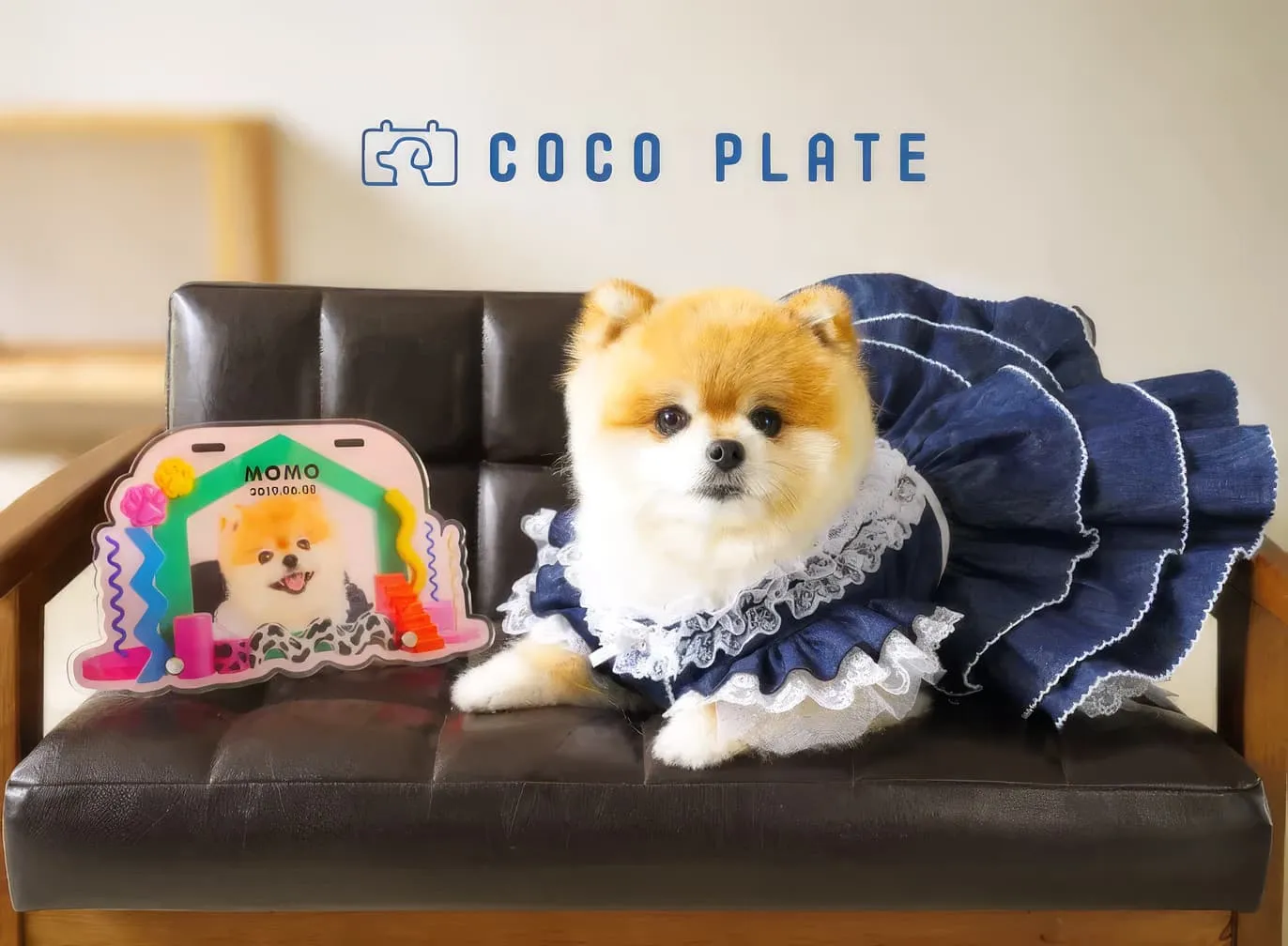 愛犬の写真が世界にひとつのネームプレートに。ドッグカート用「ココプレート」が新登場